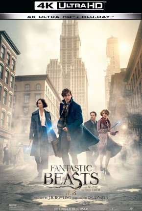 Animais Fantásticos e Onde Habitam - 4K 2016 Torrent