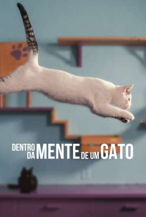 Dentro da Mente de um Gato - Legendado 2022 Torrent