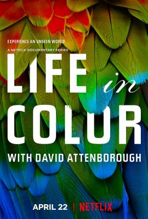 Life In Colour - 1ª Temporada Completa 2021 Torrent