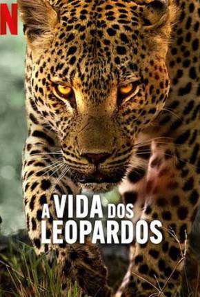 A Vida dos Leopardos 2024 Torrent